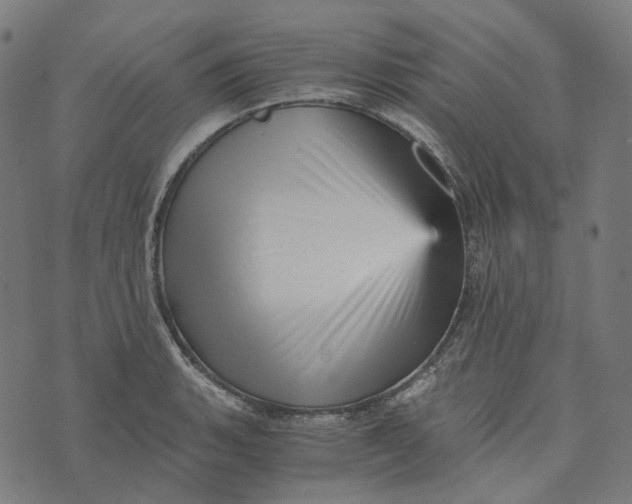 X0000073531135200608211823