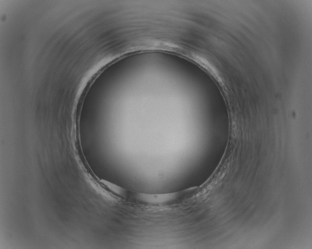 X0000073531136200608211823