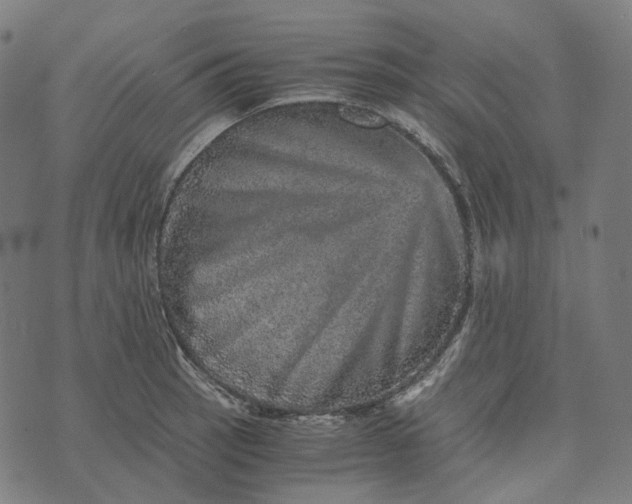 X0000073531137200608211823