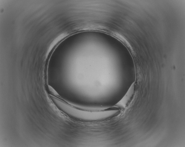 X0000073531138200608211823