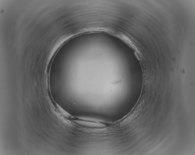 X0000073531140200608211823