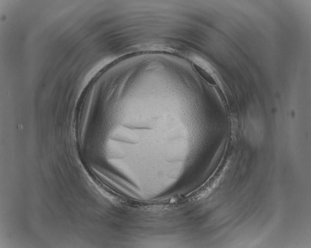 X0000073531141200608211823