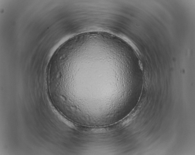 X0000073531142200608211823