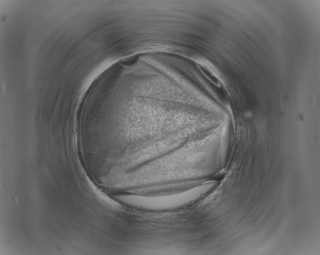 X0000073531143200608211823