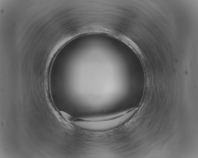 X0000073531144200608211823