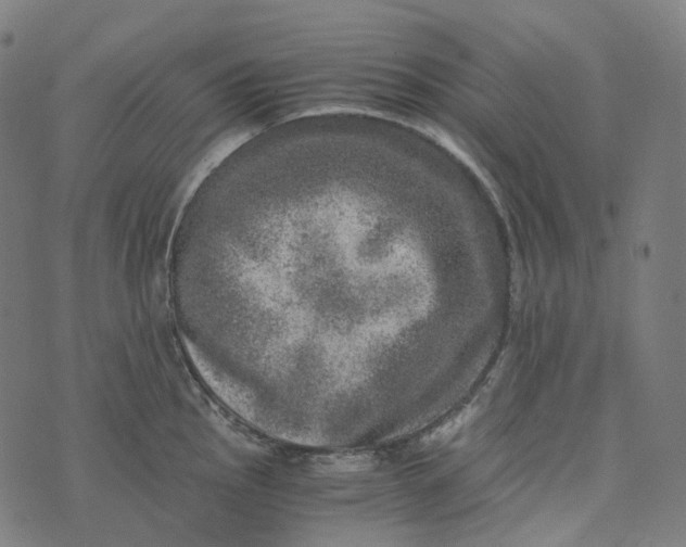 X0000073531145200608211823