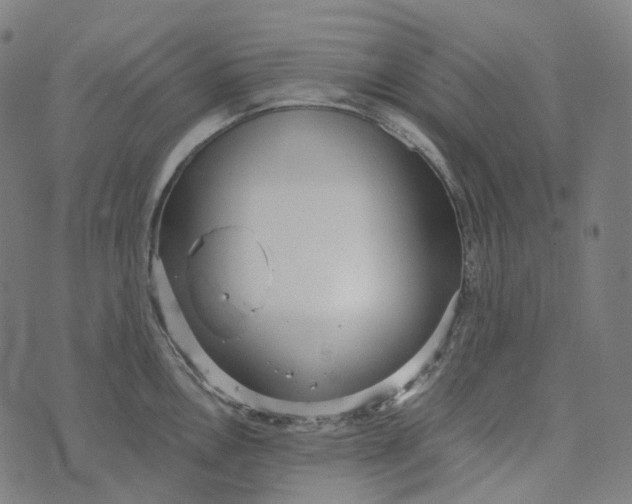 X0000073531146200608211823