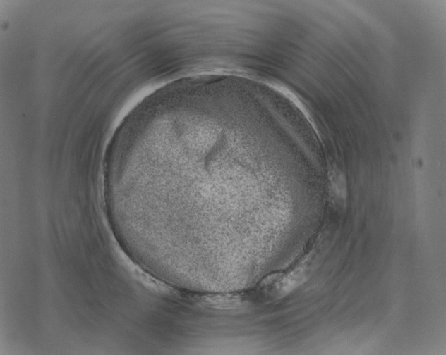 X0000073531147200608211823