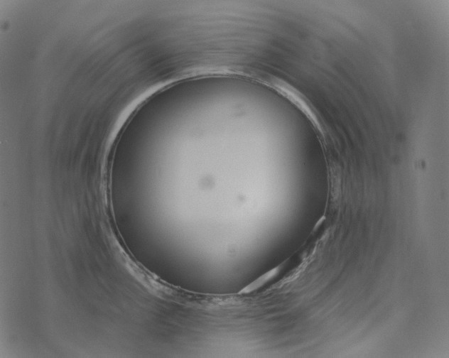 X0000073531148200608211823