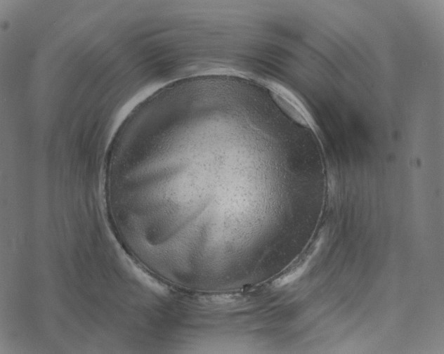 X0000073531149200608211823