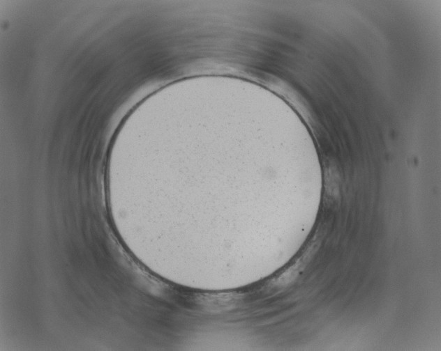 X0000073531150200608211823