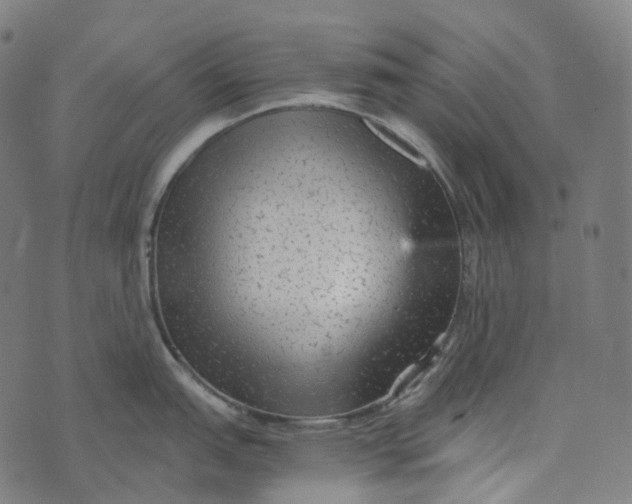 X0000073531151200608211823