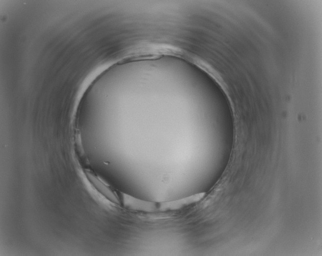 X0000073531152200608211823