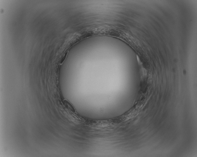 X0000073531153200608211822