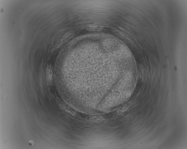 X0000073531154200608211822