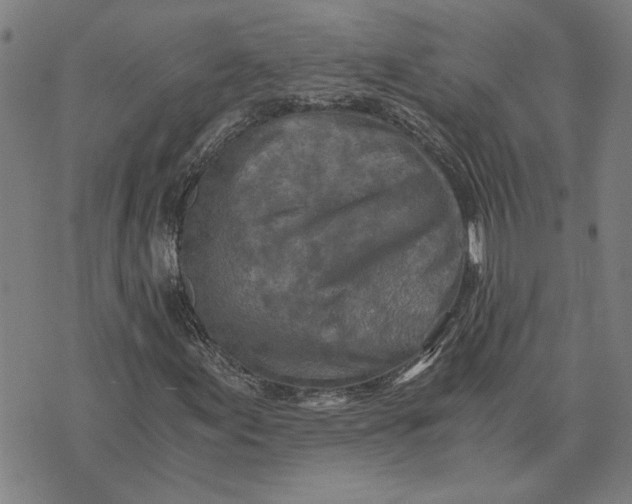 X0000073531155200608211822