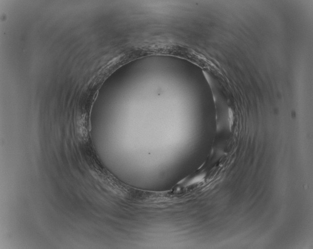 X0000073531156200608211822