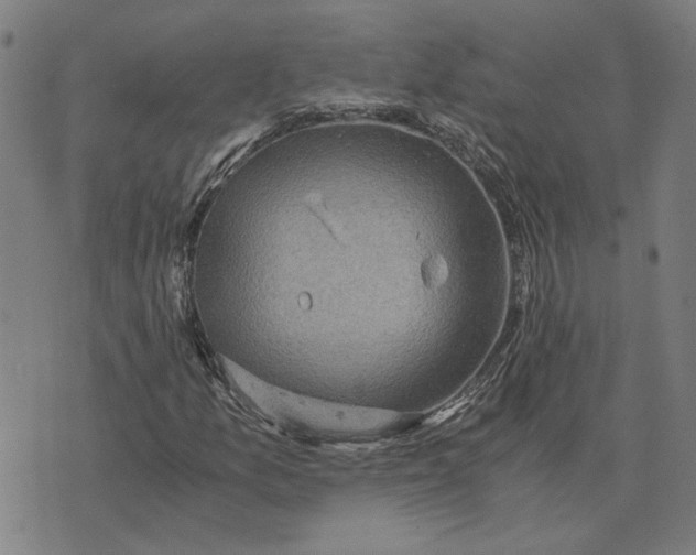 X0000073531157200608211822