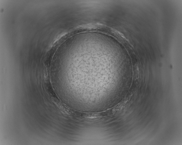 X0000073531158200608211822