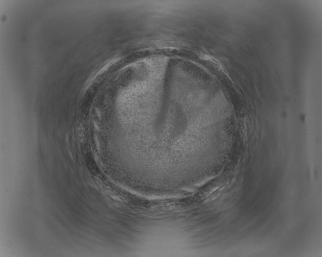 X0000073531159200608211822