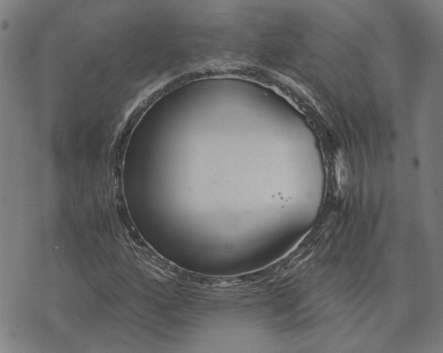 X0000073531160200608211822