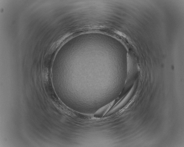 X0000073531161200608211822