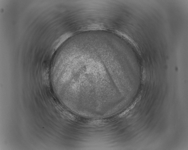 X0000073531162200608211822