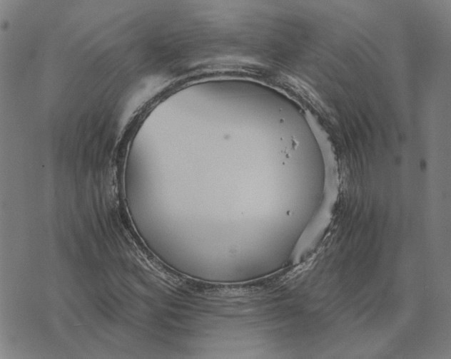 X0000073531164200608211822