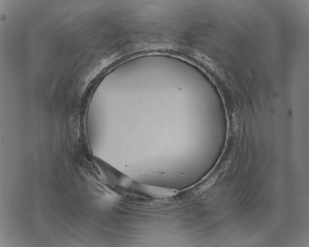 X0000073531165200608211822