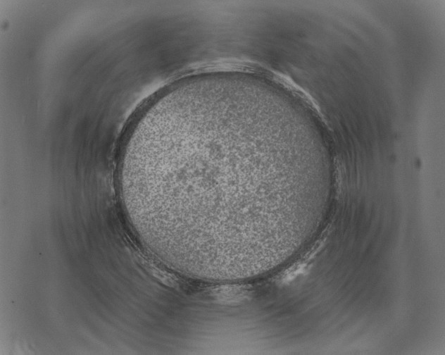 X0000073531166200608211822