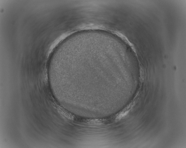 X0000073531167200608211822