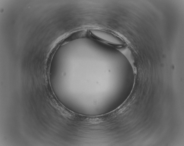 X0000073531168200608211822