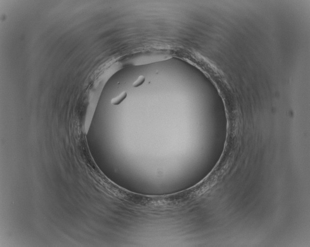 X0000073531169200608211822