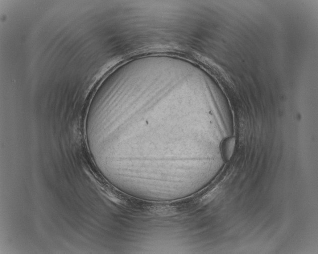 X0000073531170200608211822