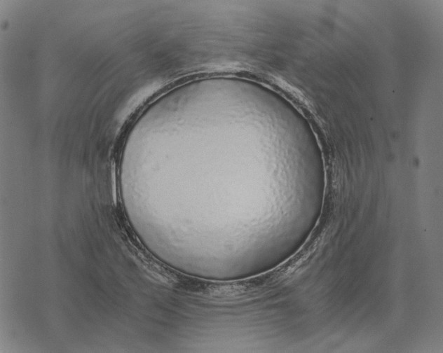 X0000073531171200608211822