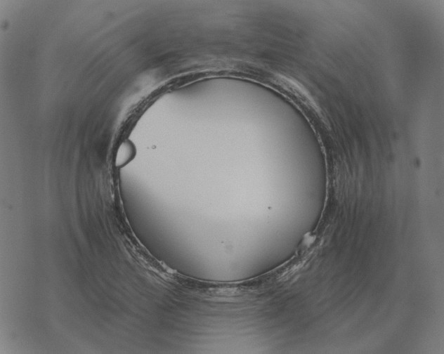 X0000073531172200608211822