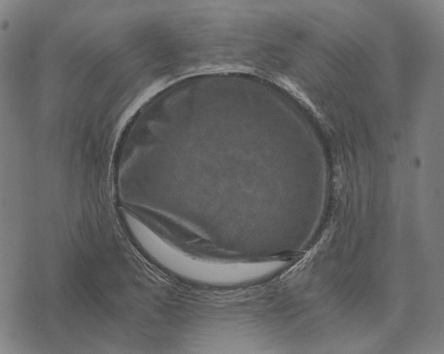 X0000073531173200608211822