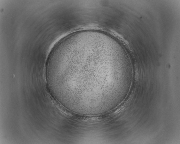 X0000073531174200608211822