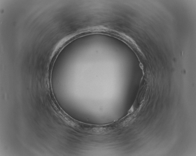 X0000073531176200608211822