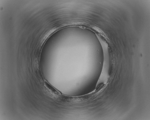 X0000073531177200608211822