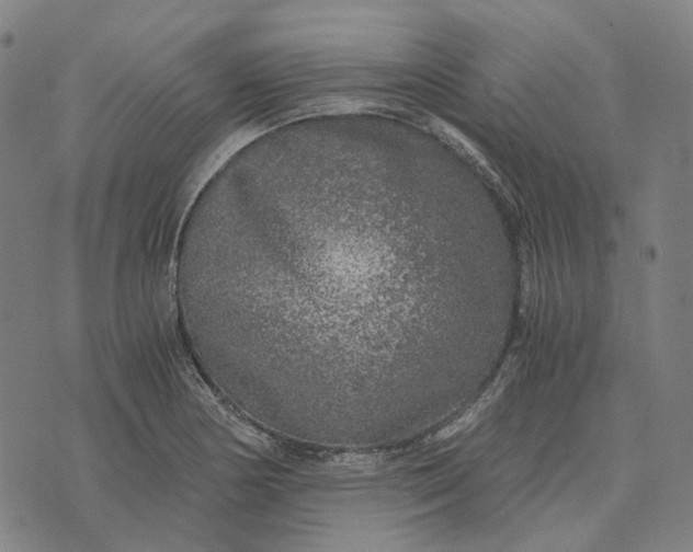 X0000073531178200608211822