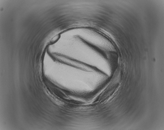 X0000073531179200608211822