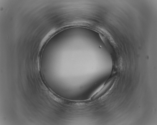 X0000073531180200608211822