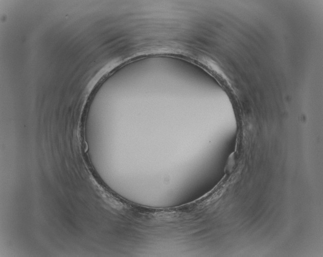 X0000073531181200608211822