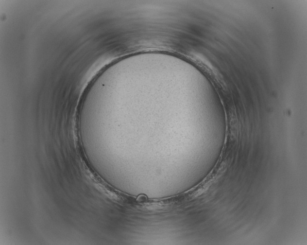 X0000073531182200608211822