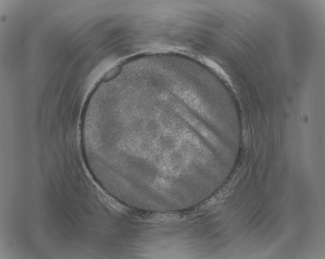 X0000073531183200608211822