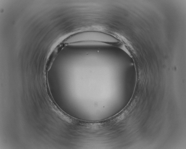 X0000073531184200608211822