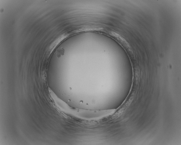 X0000073531185200608211822