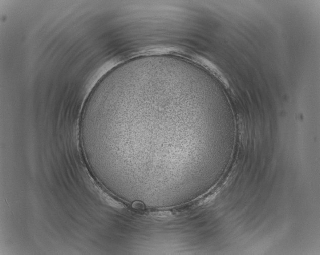 X0000073531186200608211822