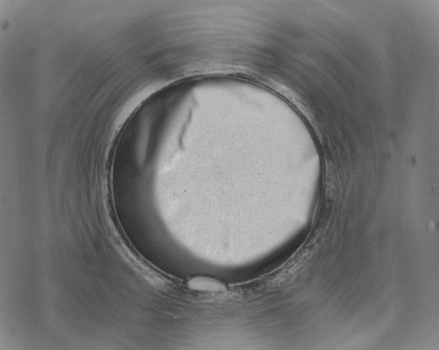 X0000073531187200608211822